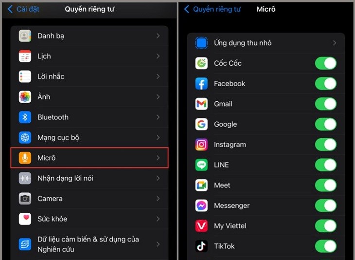 Chọn Micro > Chọn ứng dụng mà bạn muốn sử dụng