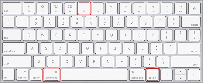 Bạn hãy nhấn tổ hợp phím Command + Option + F5 trên bàn phím