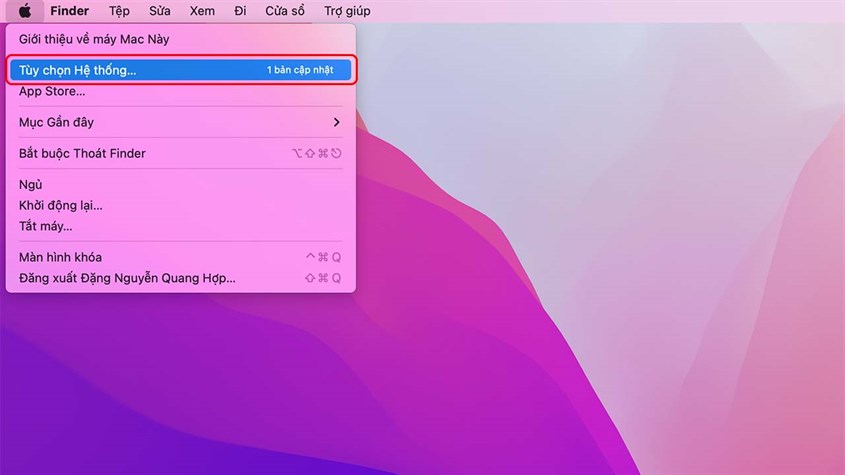 Bạn chọn biểu tượng Apple ở góc trái màn hình và chọn Tùy chọn hệ thống.