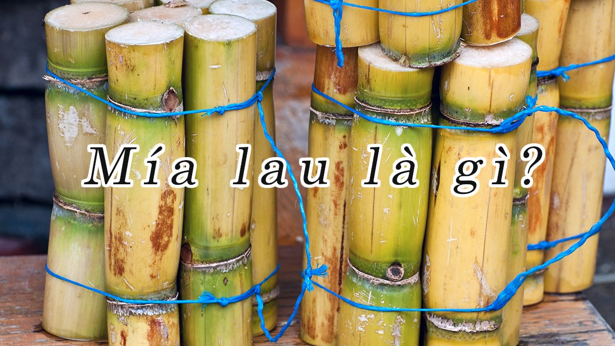 Mía lau là gì