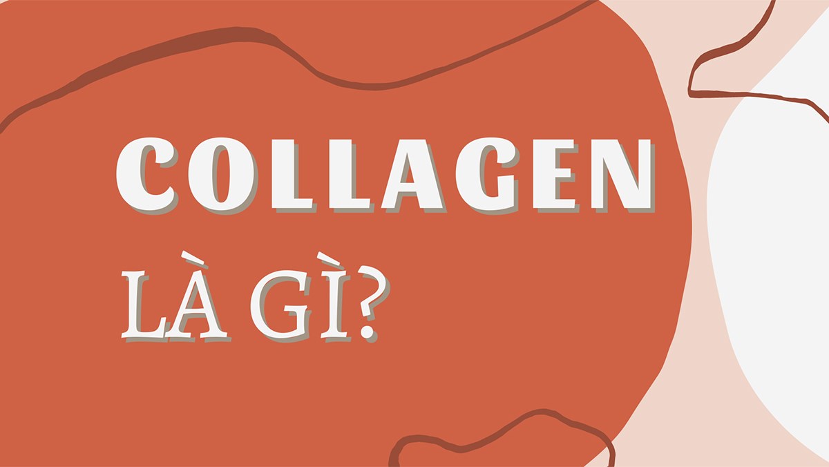 Collagen là gì?