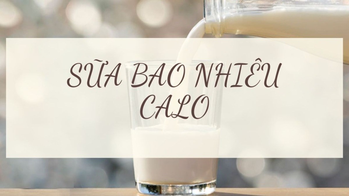 Sữa bao nhiêu calo? Uống sữa không đường mập không?