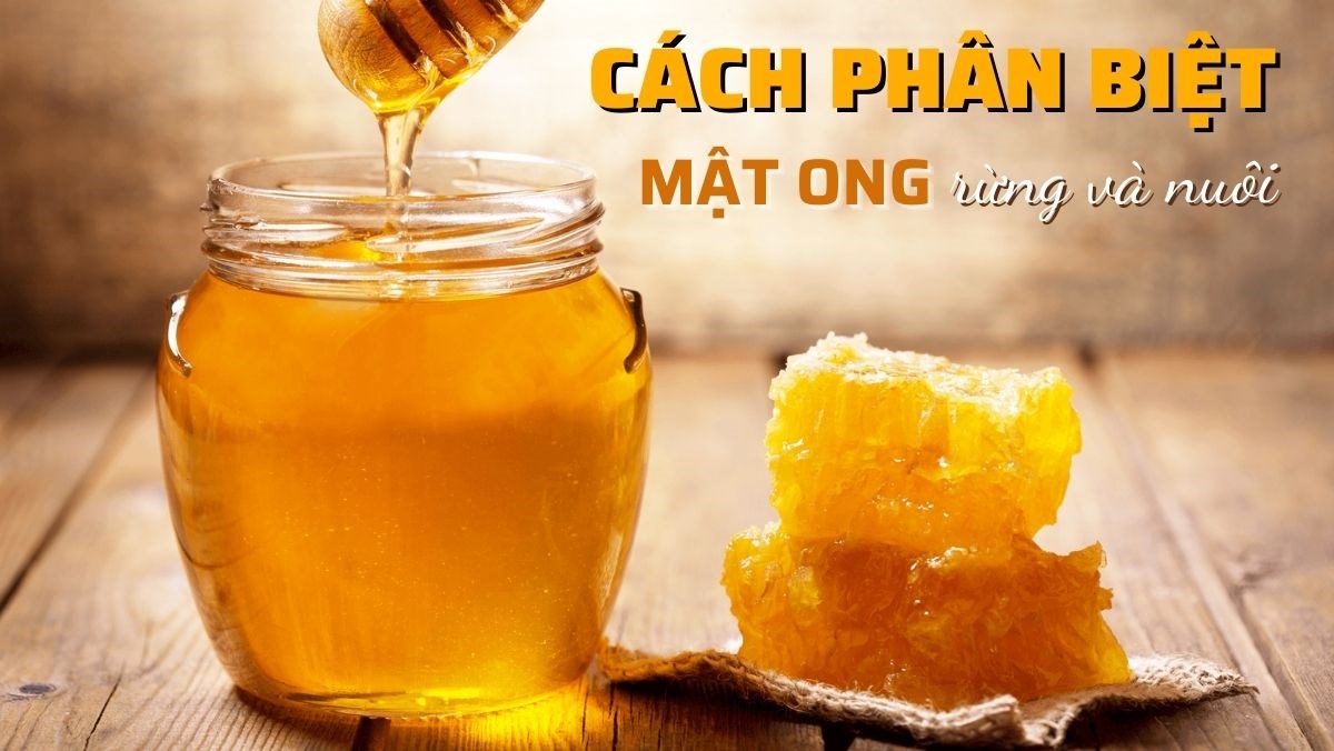 Cách phân biệt mật ong rừng và nuôi