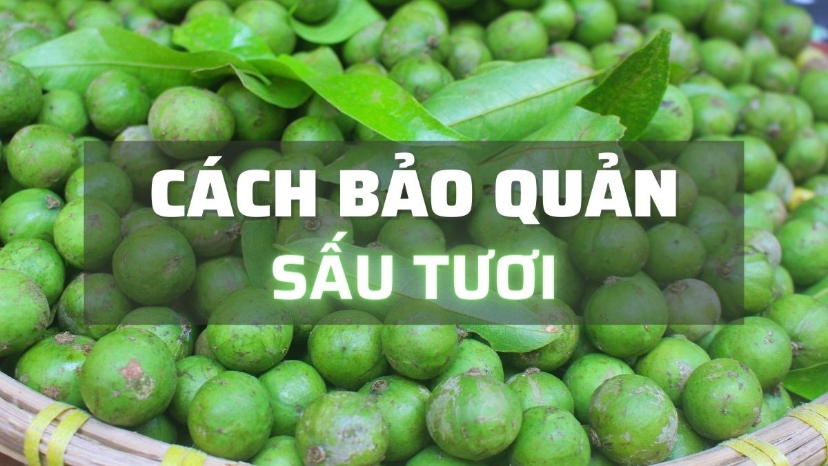 Cách bảo quản sấu