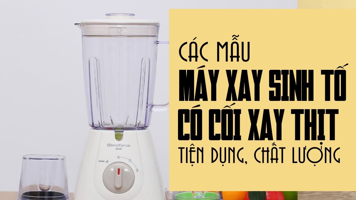 Máy xay sinh tố có cối xay thịt