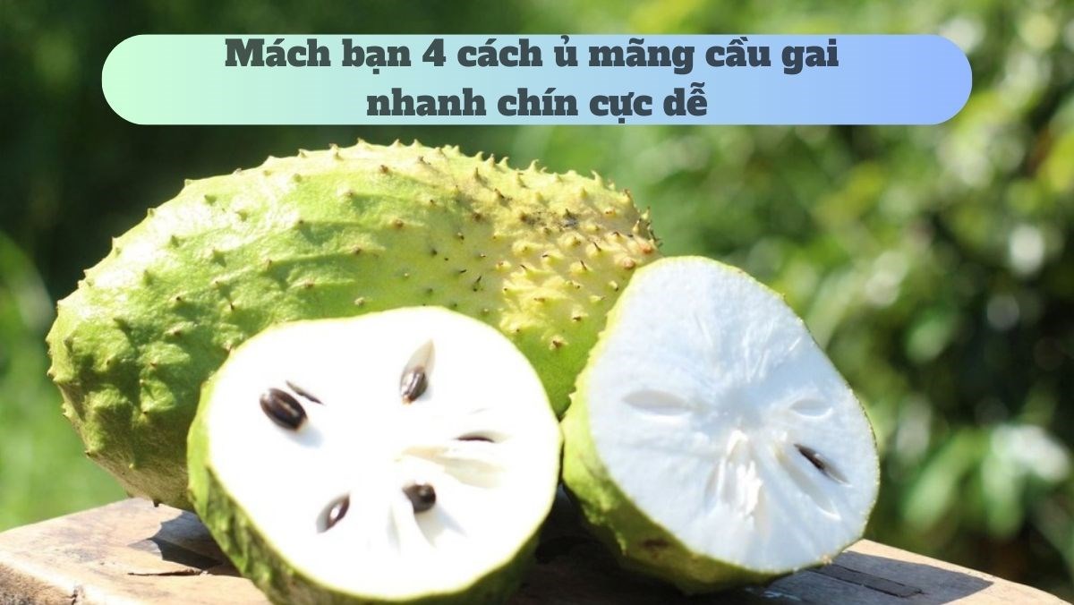 Mách bạn 4 cách ủ mãng cầu gai