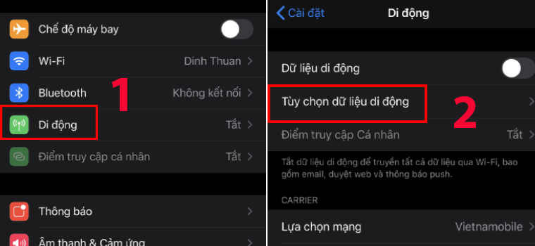 Tùy chọn dữ liệu di động