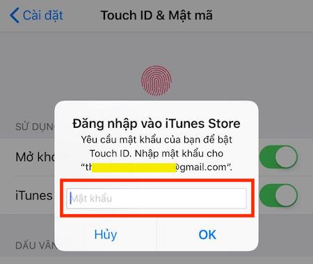 Hướng dẫn sử dụng vân tay để tải ứng dụng trên iPhone