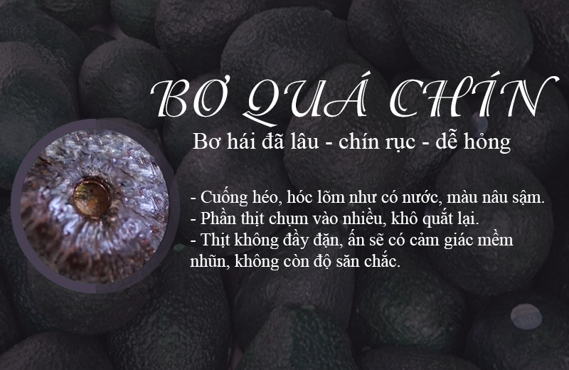 Bơ đã chín lâu ngày không còn ngon