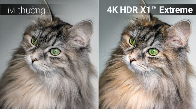 Chip xử lý 4K HDR X1™ Extreme trên tivi Sony 2018