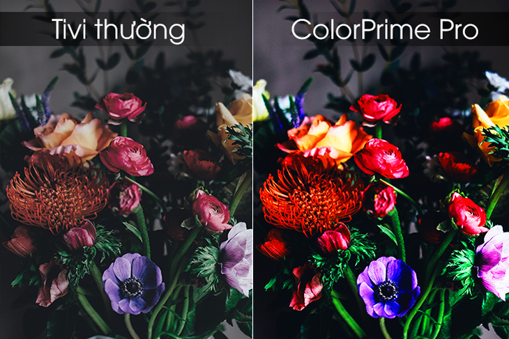Công nghệ ColorPrime Pro