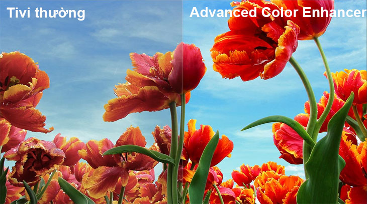 Advanced Color Enhancer