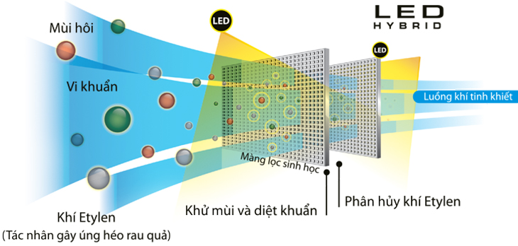 Led Hybrid