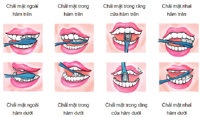 Đánh răng như thế nào là đúng cách để bảo vệ sức khỏe răng miệng?