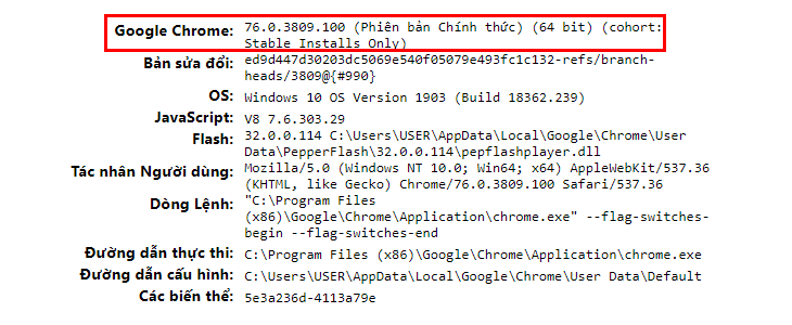 Gõ lệnh chrome://version/ để xem trực tiếp phiên bản Chrome đang dùng