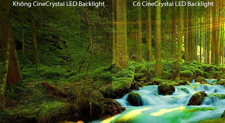 Tìm hiểu về công nghệ CineCrystal LED Backlit