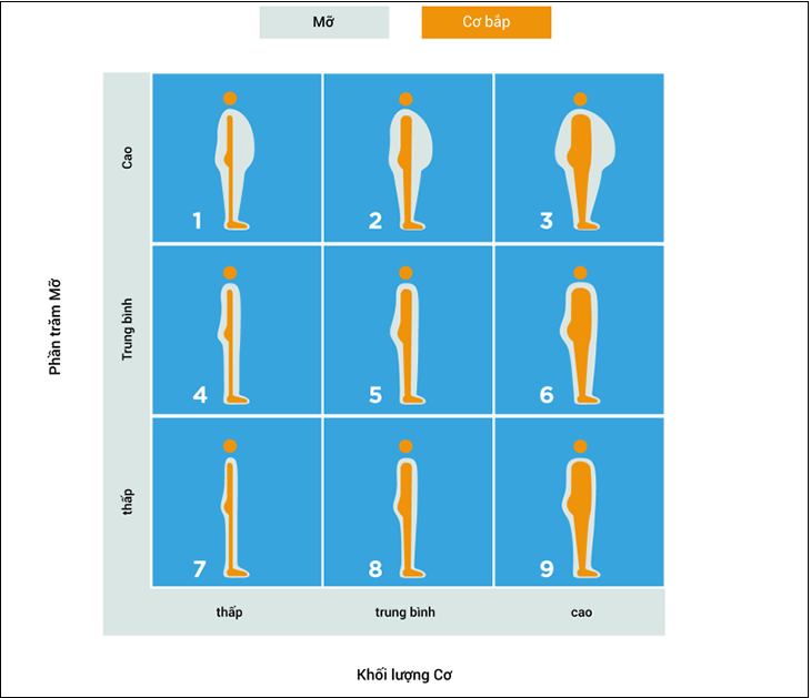 Chỉ số vóc dáng (Physique Rating)