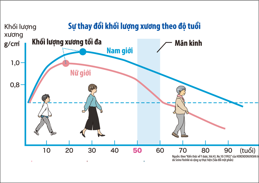 Khối lượng xương (Bone Mass)