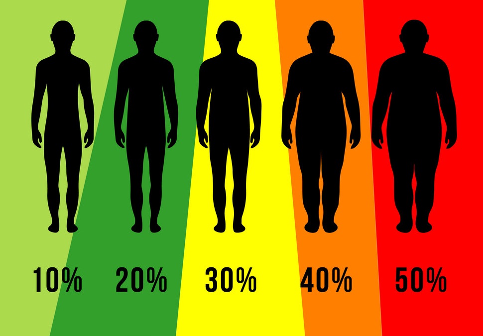 Phần trăm mỡ cơ thể (Body Fat Percentage)