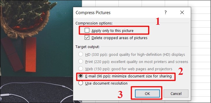 Bỏ tích ở mục Apply only to this picture > Chọn Email (96 ppi): minimize document size for sharing > Bấm OK.
