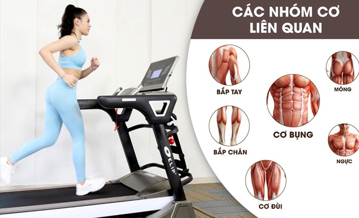 Mang lại nhiều lợi ích tuyệt vời cho sức khỏe