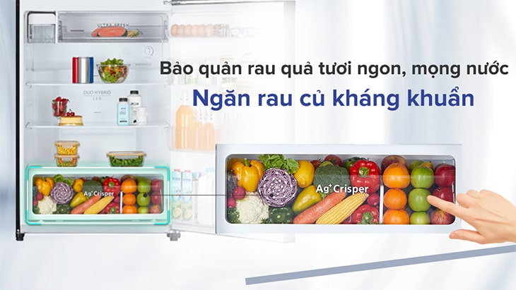 Ngăn rau quả kháng khuẩn Ag+ Crisper - tủ lạnh Toshiba