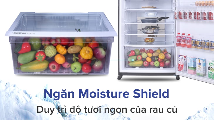 Ngăn Moisture Shield - tủ lạnh Sharp