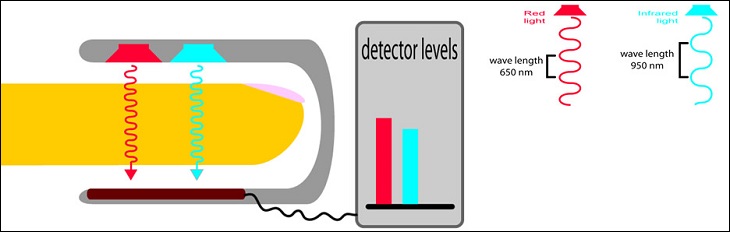 Nguyên lý hoạt động máy đo nồng độ oxy trong máu
