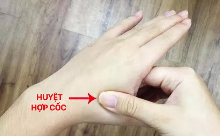 Huyệt hợp cốc 