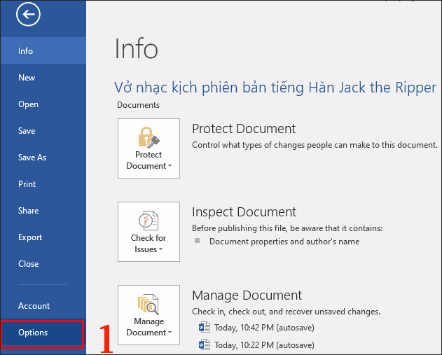 Mở mục File và chọn Options.