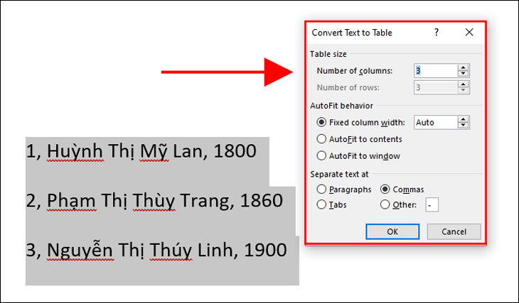 Hộp thoại Convert Text to Table hiện ra với nhiều tùy chọn khác nhau