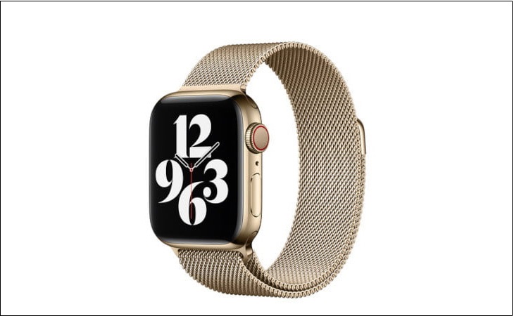 Apple Gold Milanese Loop