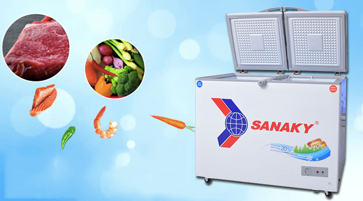 Tủ đông Sanaky 220 lít VH-2899W1