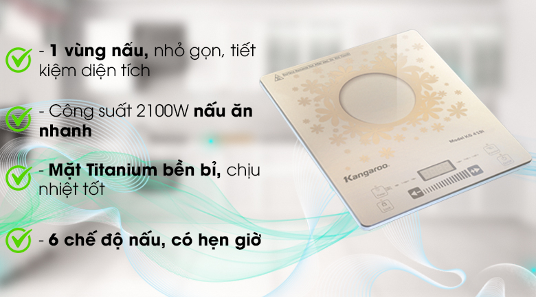 Bếp từ Kangaroo KG419i