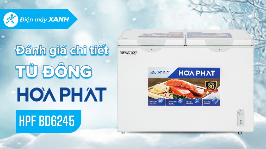 Tủ đông Hòa Phát 245 Lít HPF BD6245