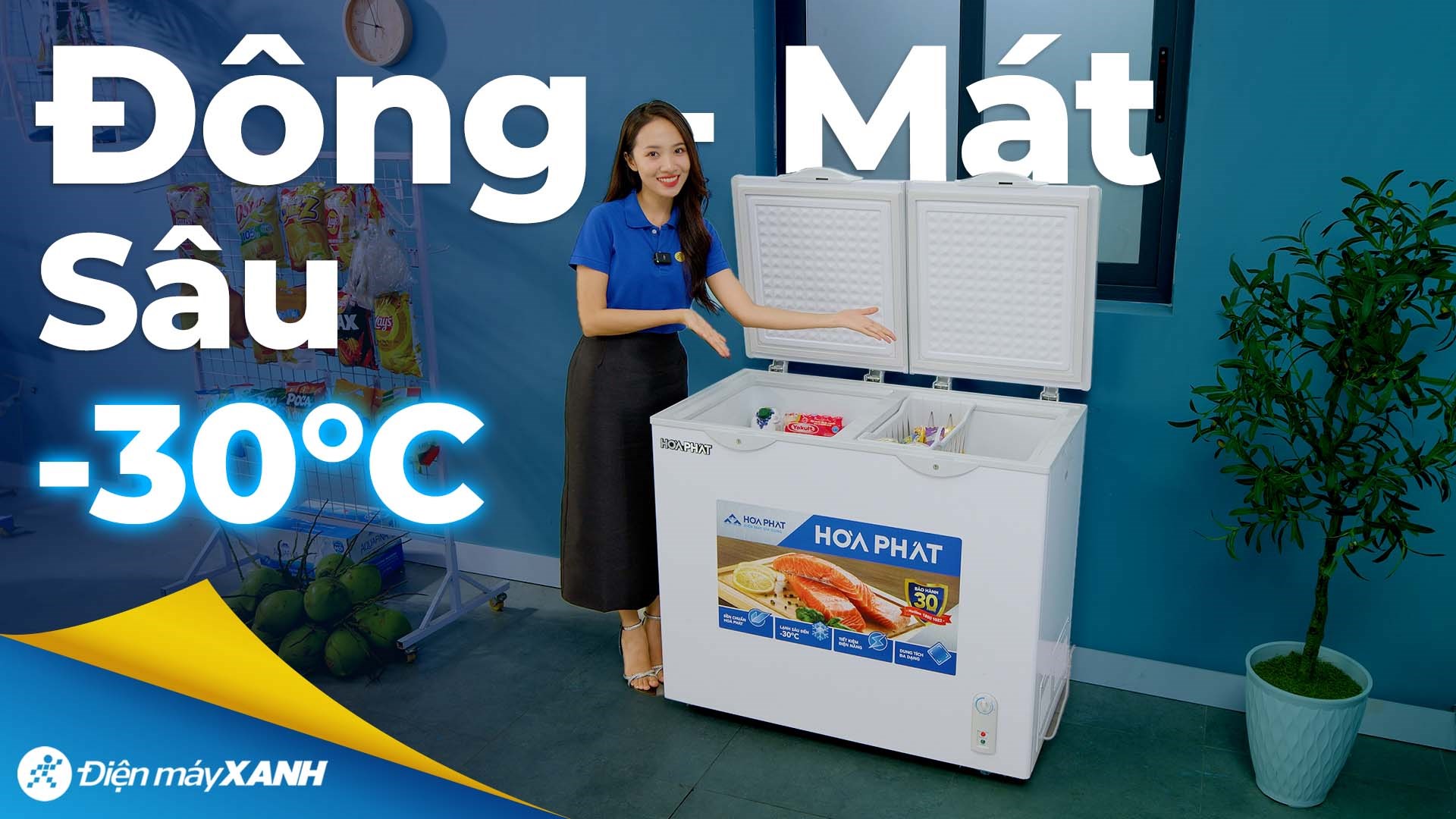 Tủ đông Hòa Phát 205 Lít HPF BD6205