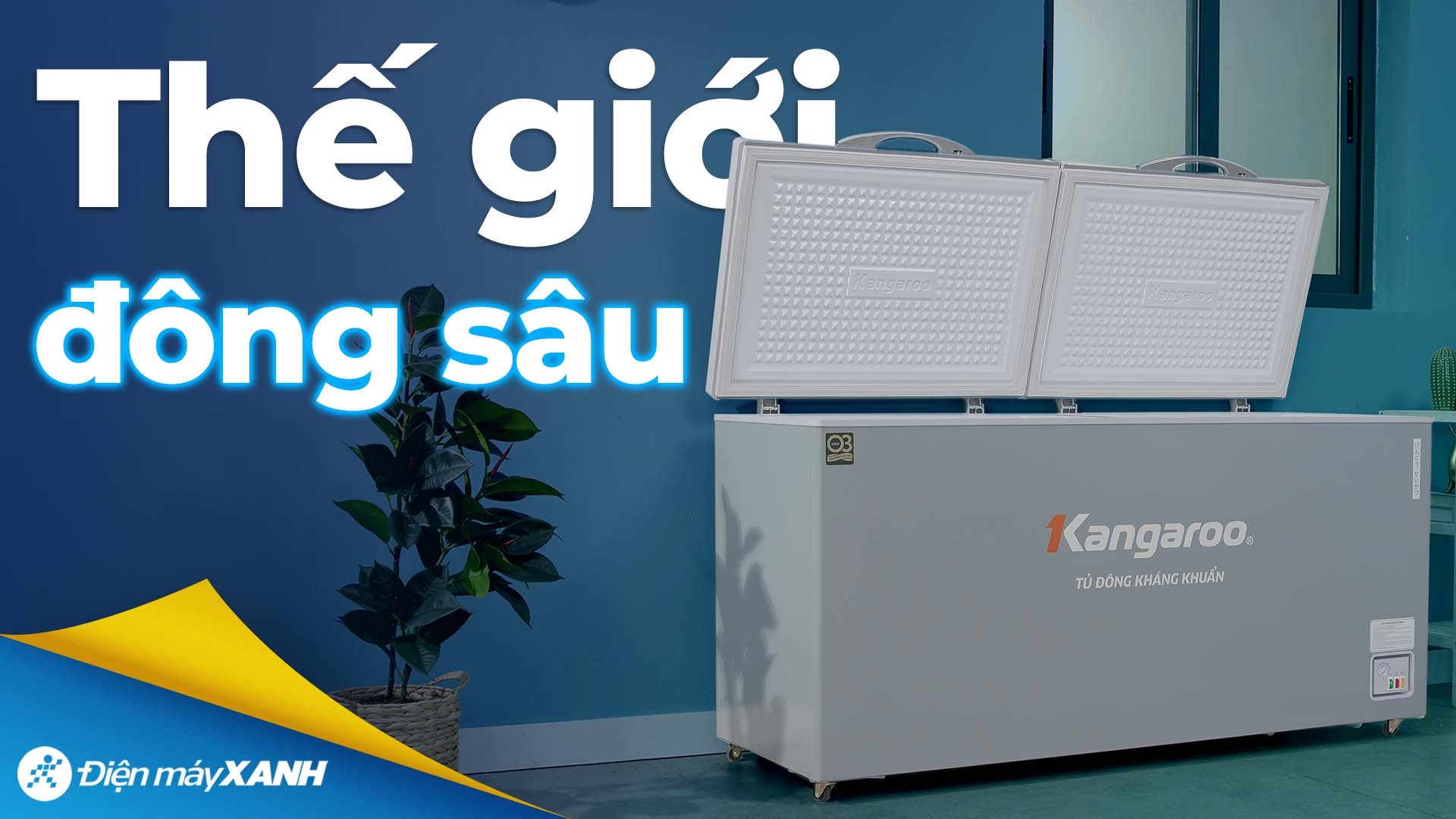 Tủ đông Kangaroo 500 lít KGFZ560NG1