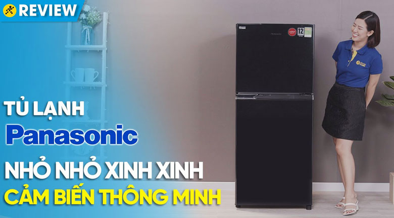 Tủ lạnh Panasonic Inverter 234 lít NR-BL263PKVN