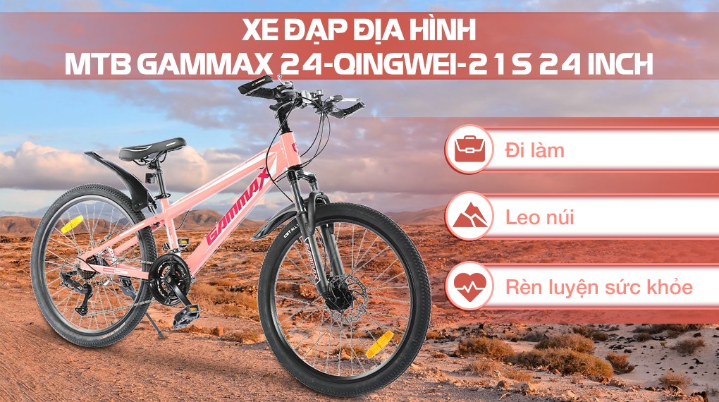 Xe Đạp Địa Hình MTB Gammax 24-Qingwei-21S 24 inch