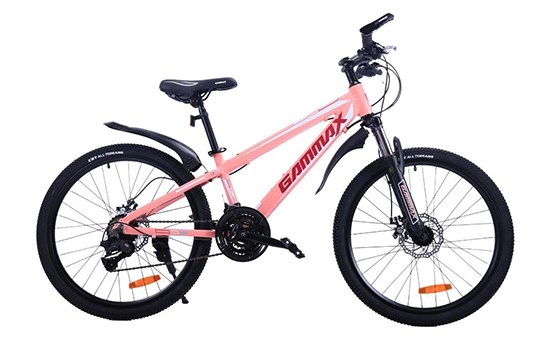 Xe Đạp Địa Hình MTB Gammax 24-Qingwei-21S 24 inch