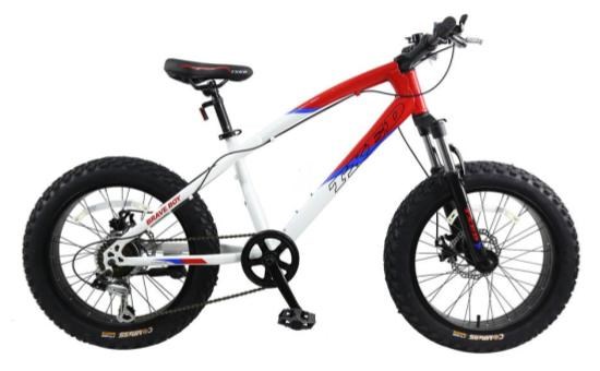 Xe Đạp Địa Hình MTB Txed Brave Boy 20 20 inch Size XXS