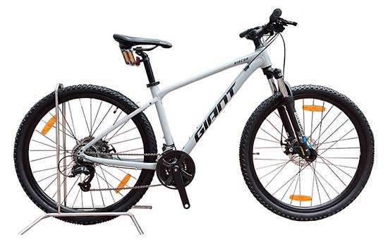 Xe Đạp Địa Hình MTB Giant Rincon 2 (2022) 29 inch Size M